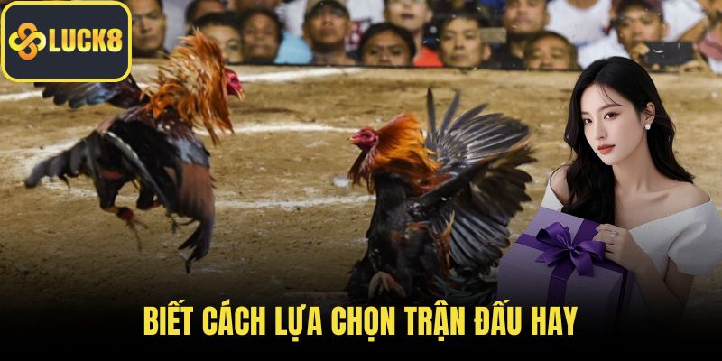 Biết cạnh lựa chọn trận đấu hay