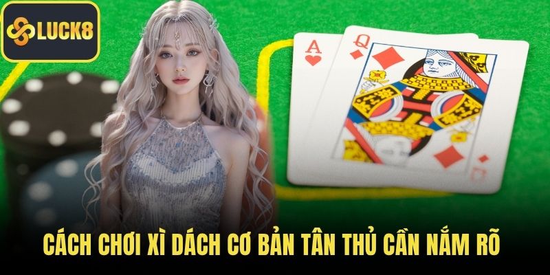 Cách chơi Xì Dách cơ bản tân thủ cần nắm rõ