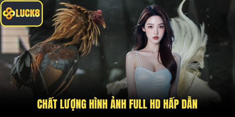 Chất lượng hình ảnh full HD hấp dẫn