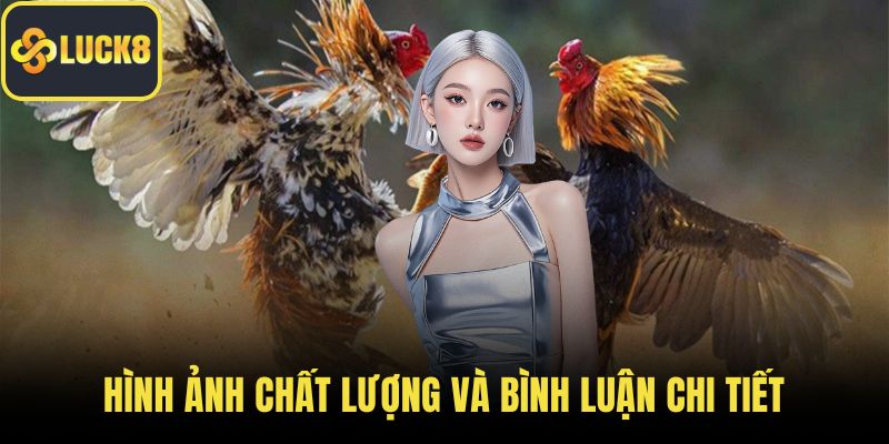 Hình ảnh chất lượng và bình luận chi tiết