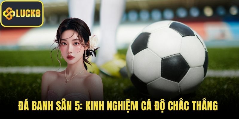 Đá banh sân 5
