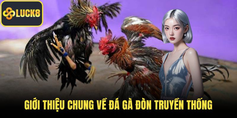 Giới thiệu chung về đá gà đòn truyền thống