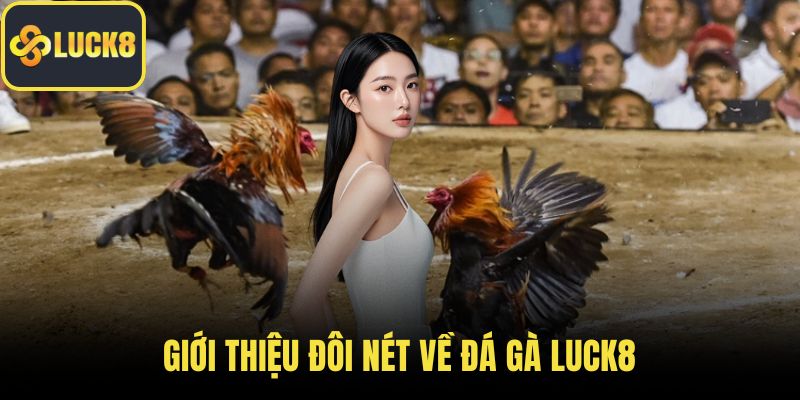 Giới thiệu đôi nét về đá gà LUCK8