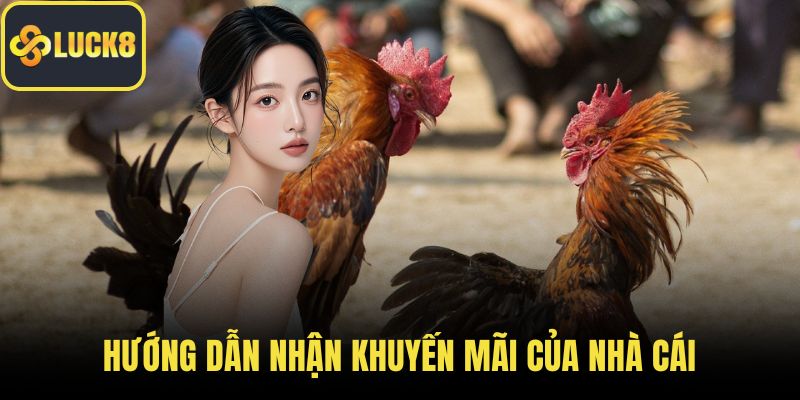 Hướng dẫn nhận khuyến mãi của nhà cái