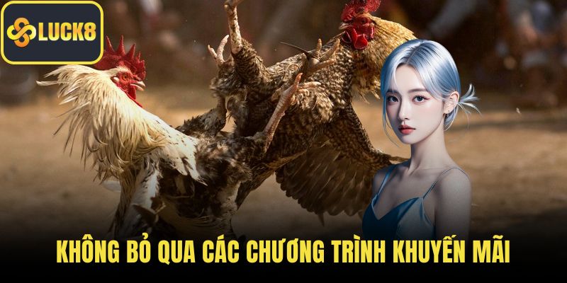 Không bỏ qua các chương trình khuyến mãi