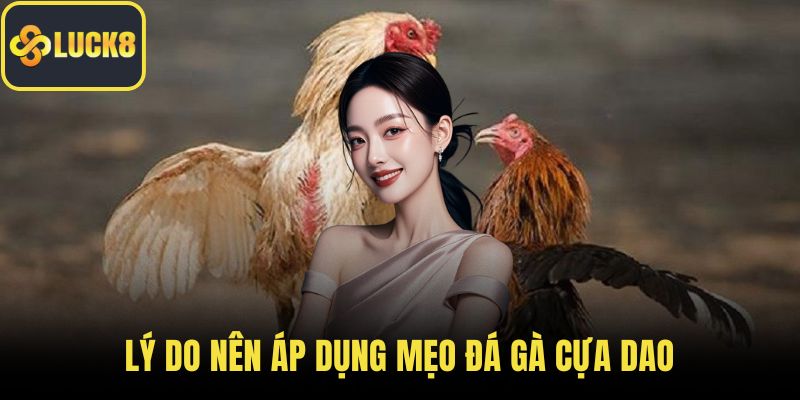 Lý do nên áp dụng mẹo đá gà cựa dao