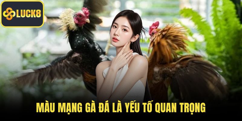 Màu mạng gà đá là gà yếu tố quan trọng