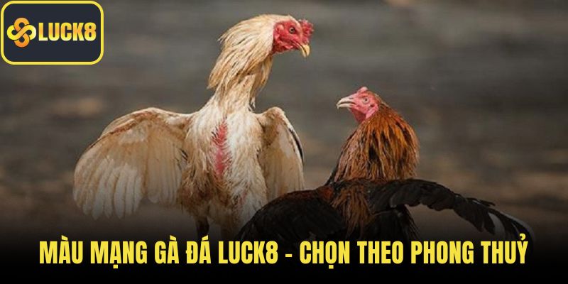 màu mạng gà đá