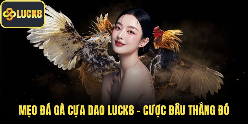 mẹo đá gà cựa dao