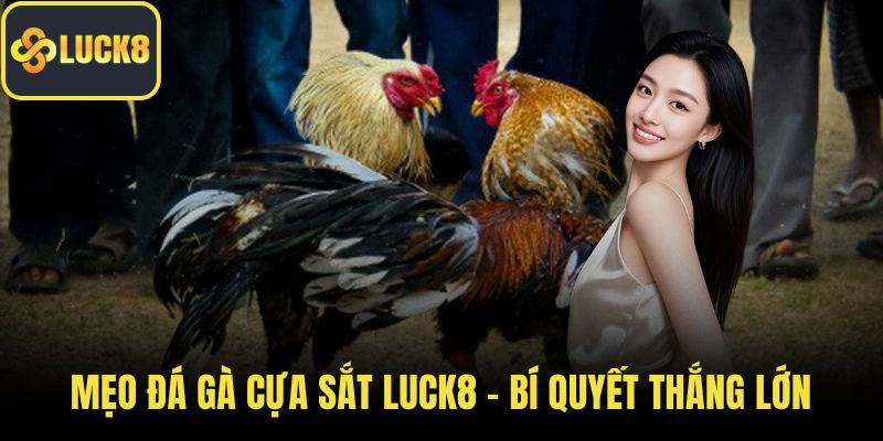 mẹo đá gà cựa sắt