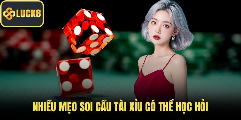 Nhiều mẹo soi cầu Tài Xỉu có thể học hỏi