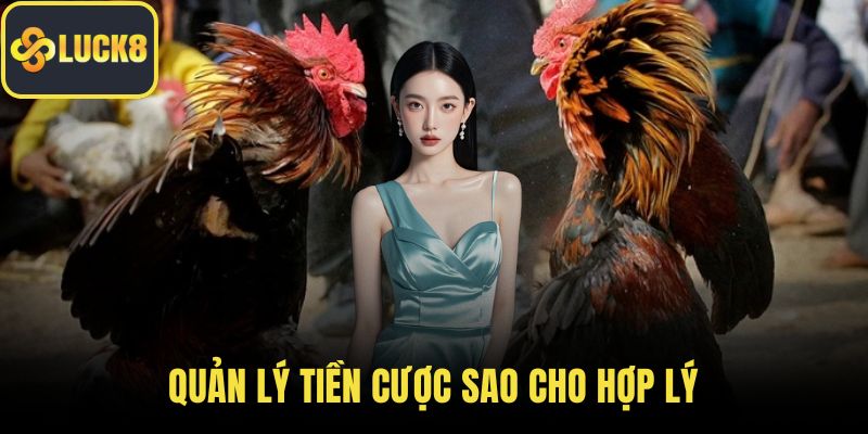 Quản lý tiền cược sao cho hợp lý
