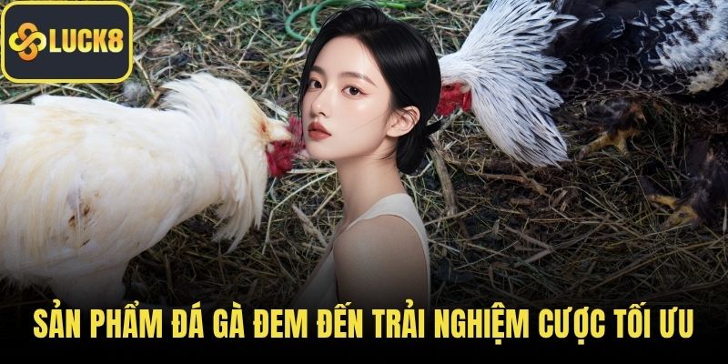 Sản phẩm Đá gà đem đến trải nghiệm cược tối ưu
