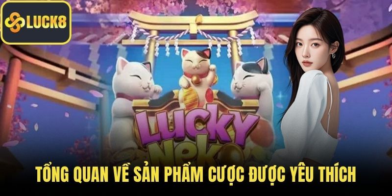 Tổng quan về sản phẩm cược được yêu thích